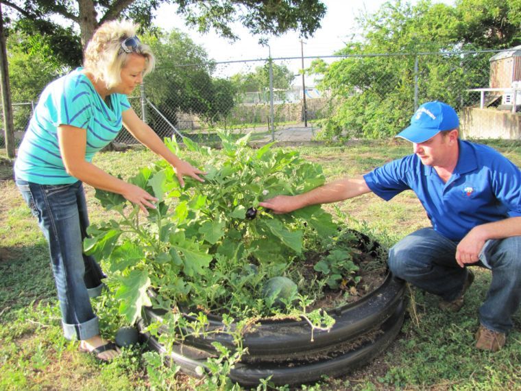 Gatesville community garden